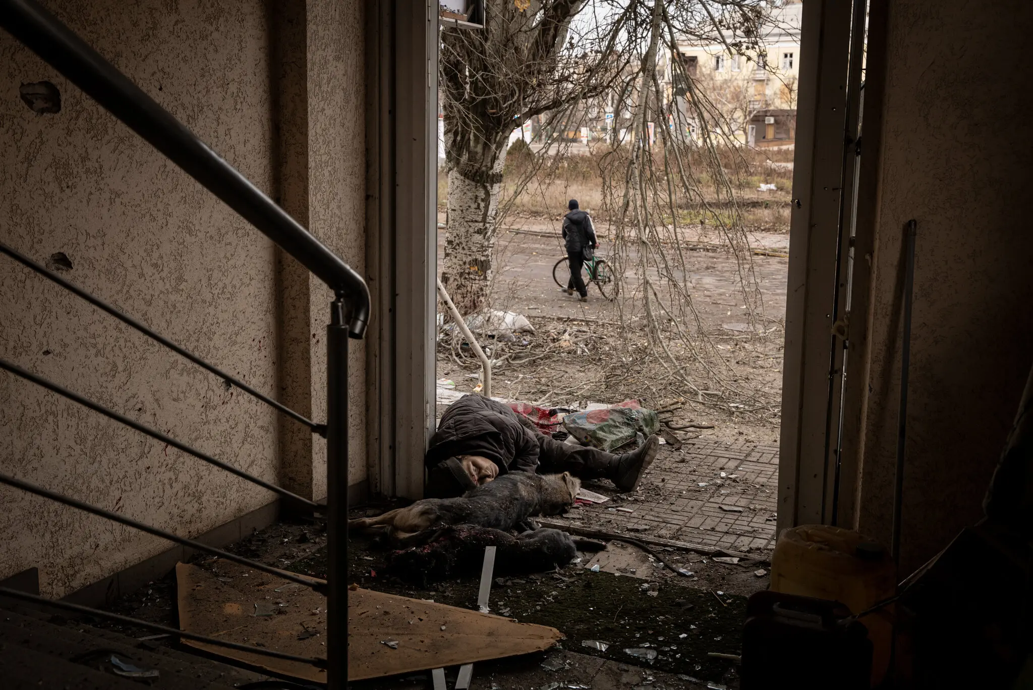 Жінка та дві собаки лежать мертві в дверях будинку в Бахмуті 2 січня